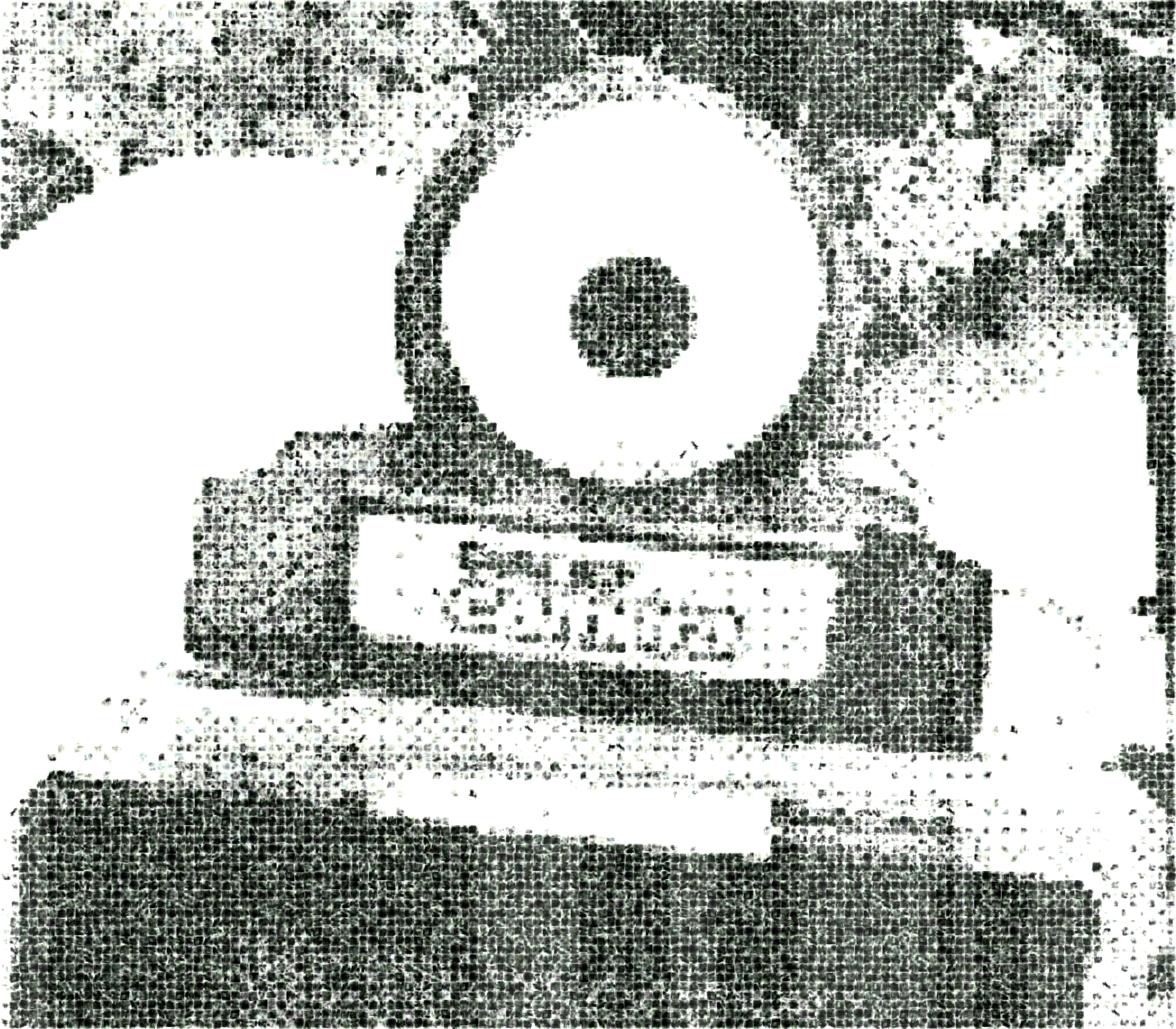 Thermal printed image